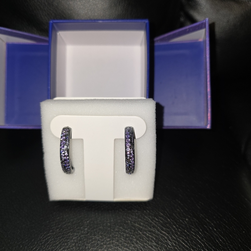 Elegant Purple Hoop Earrings In The Shadow Marine CAVES